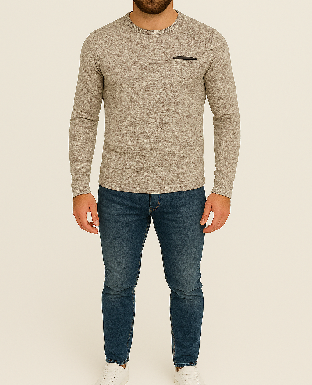 Pull homme bleu LEO